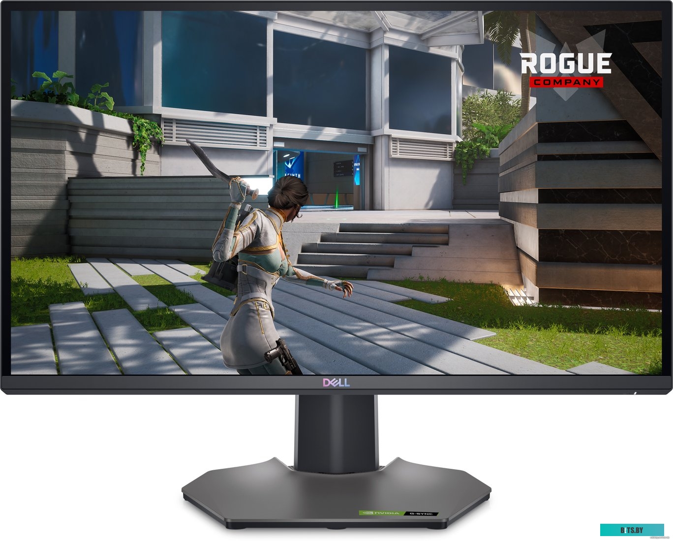 Dell G2524H