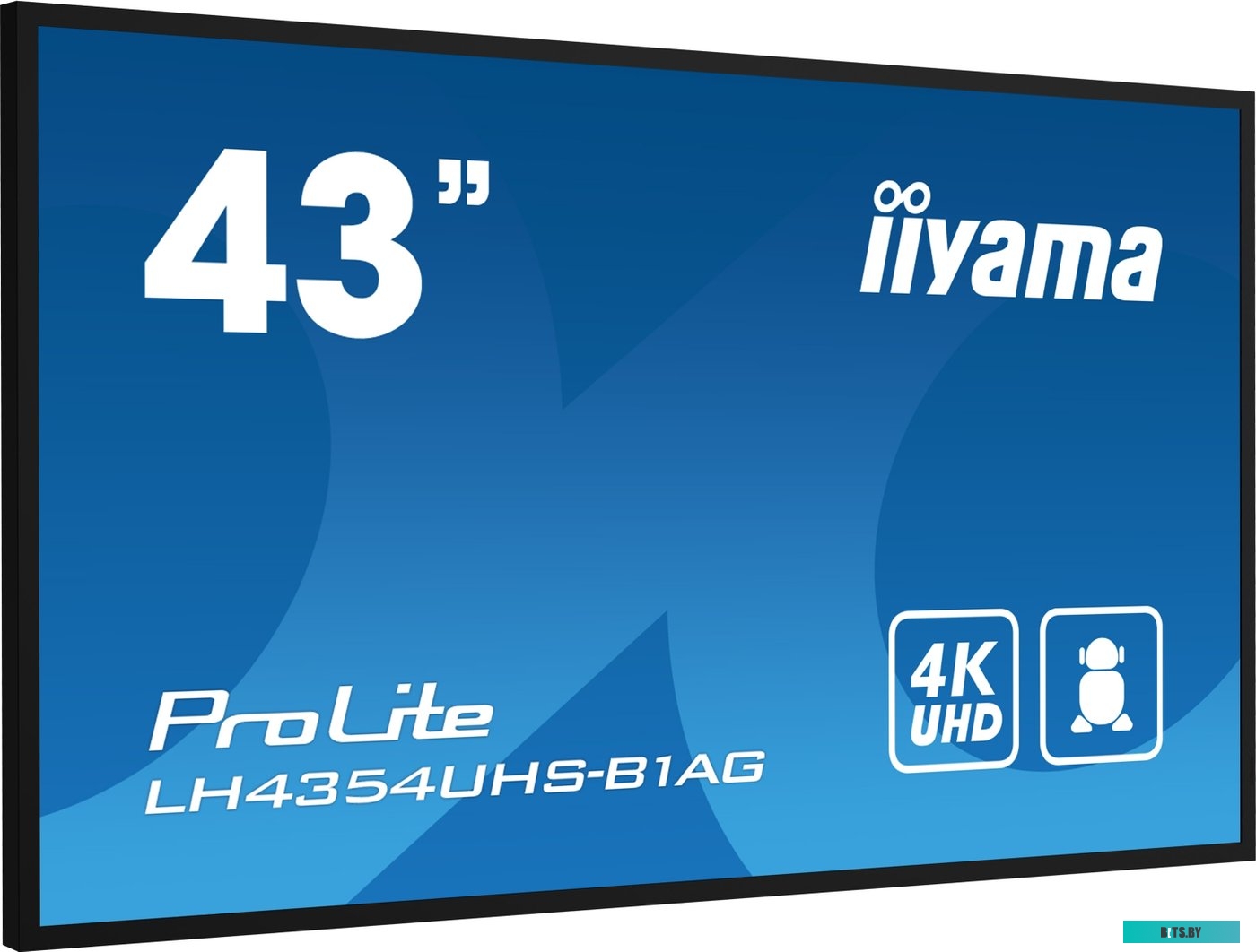LH4354UHS-B1AG ЖКИ монитор Iiyama ProLite