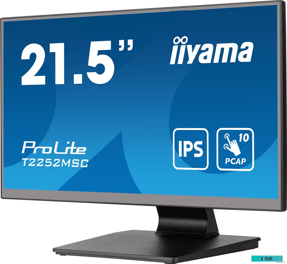 Монитор Iiyama T2252MSC-B2 T2252MSC-B2