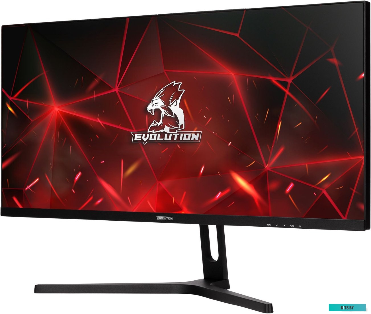 Монитор Evolution GX292kic UW IPS