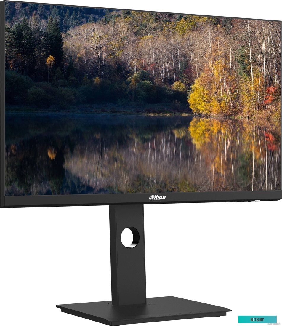 Монитор Dahua DHI-LM24-P301A