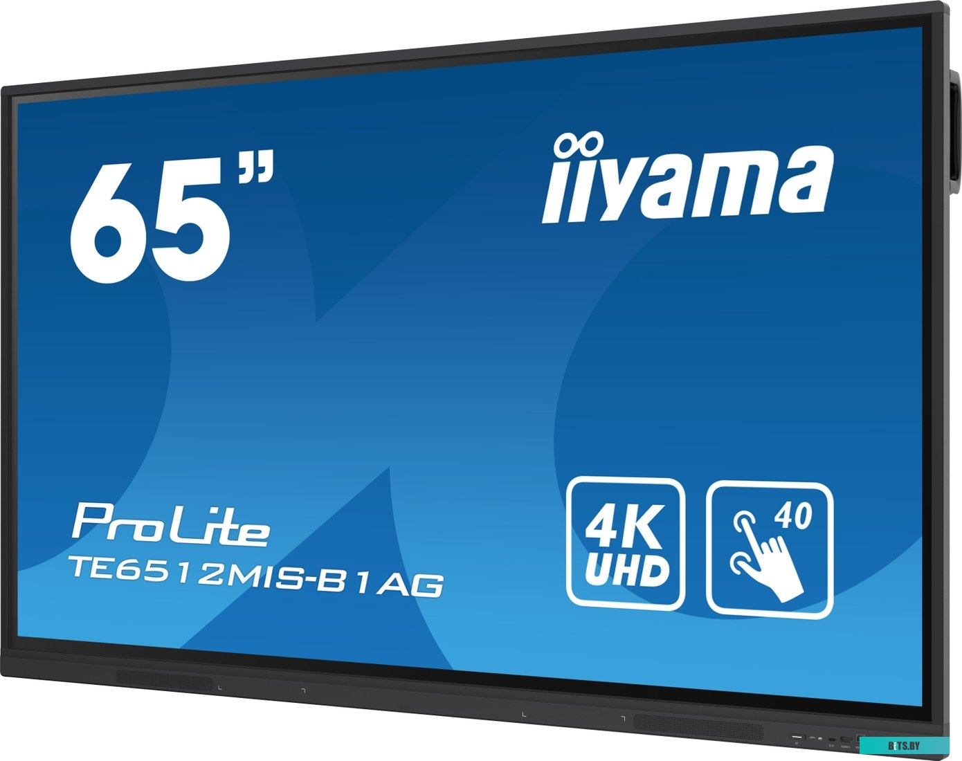 TE6512MIS-B1AG ЖКИ монитор Iiyama ProLite