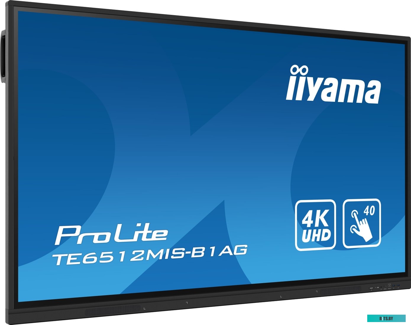TE6512MIS-B1AG ЖКИ монитор Iiyama ProLite