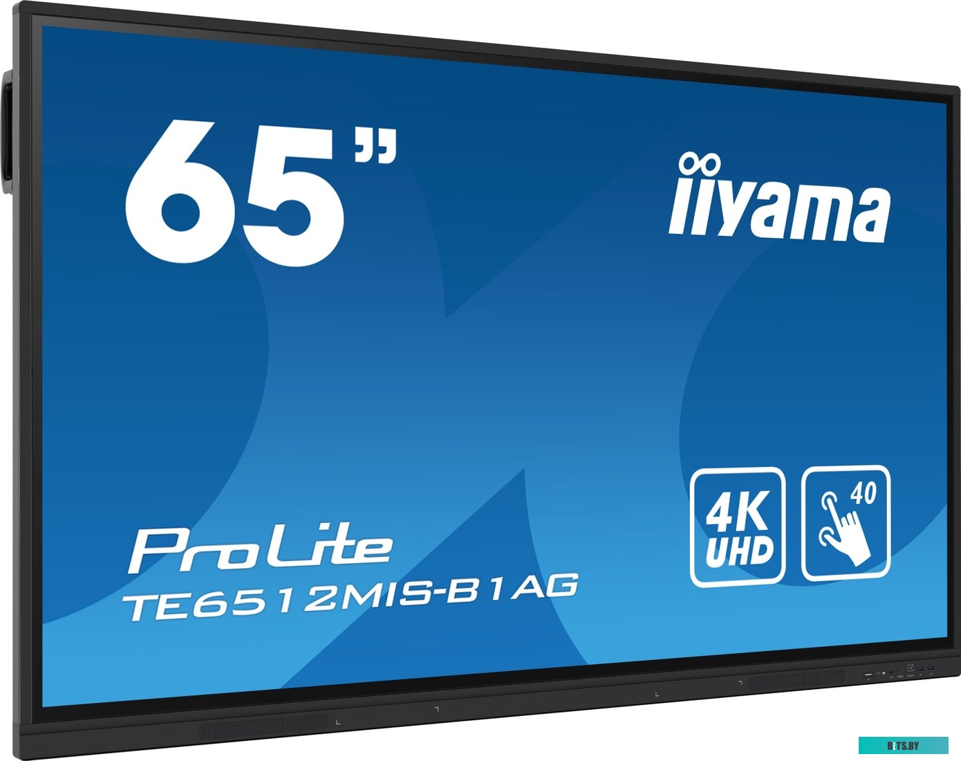 TE6512MIS-B1AG ЖКИ монитор Iiyama ProLite
