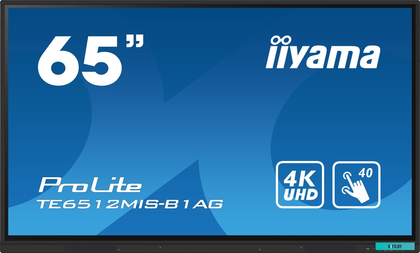 TE6512MIS-B1AG ЖКИ монитор Iiyama ProLite