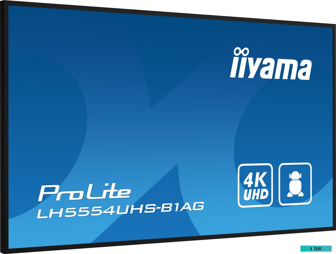 LH5554UHS-B1AG ЖКИ монитор Iiyama ProLite