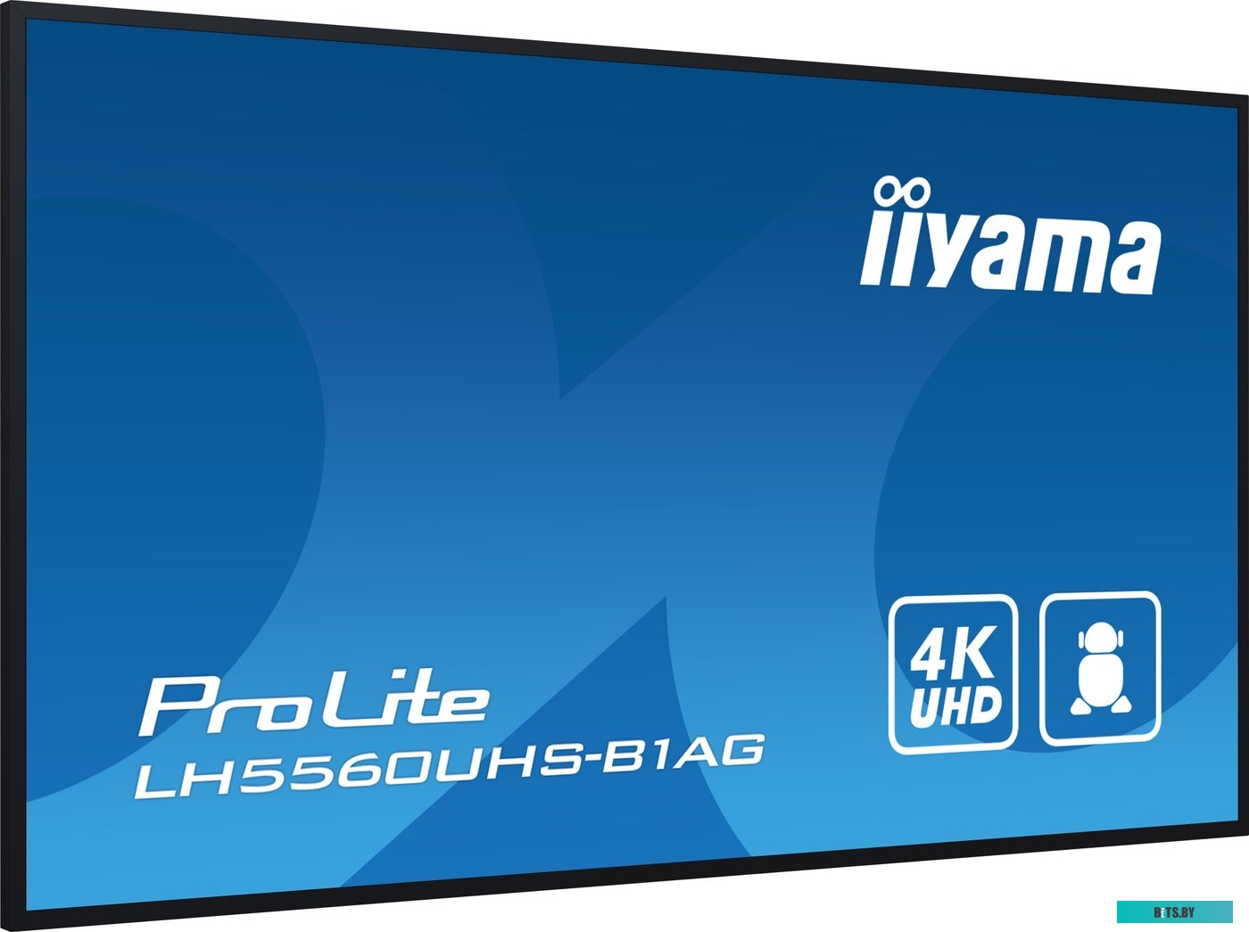 LH5560UHS-B1AG ЖКИ монитор Iiyama ProLite