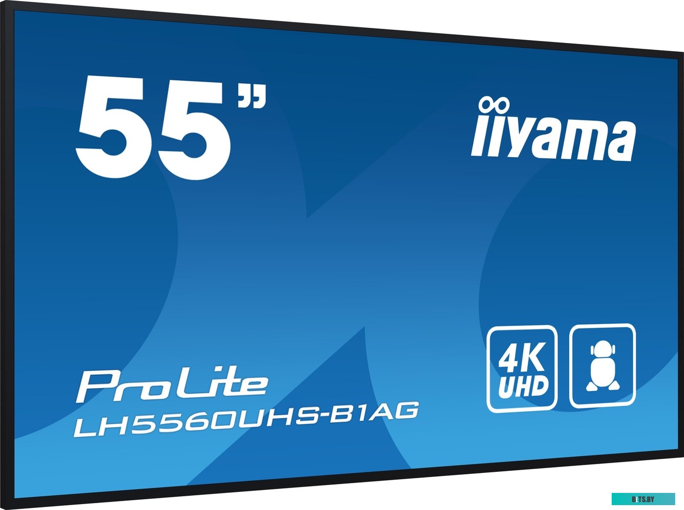 LH5560UHS-B1AG ЖКИ монитор Iiyama ProLite