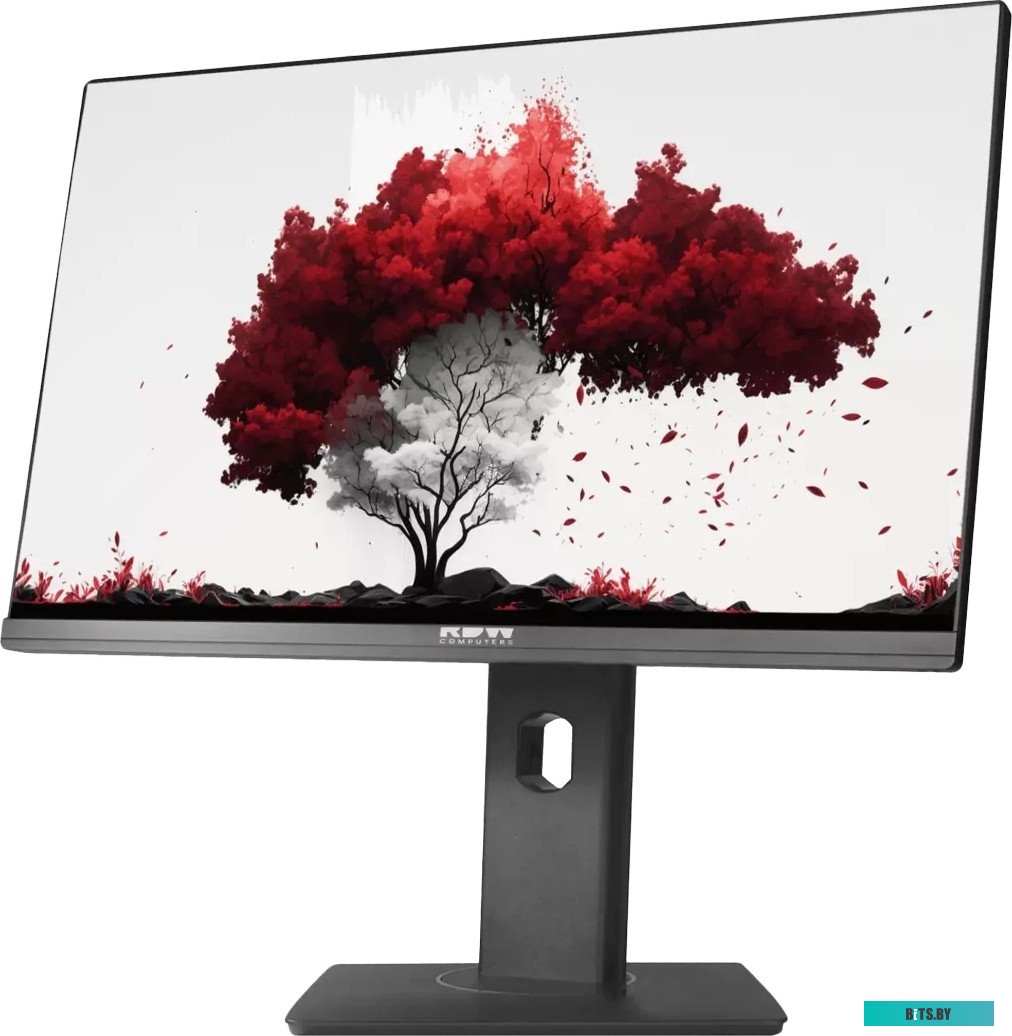Монитор RDW Computers 23.8" RDW2402K/F00B3 RDW2402K/F00B3