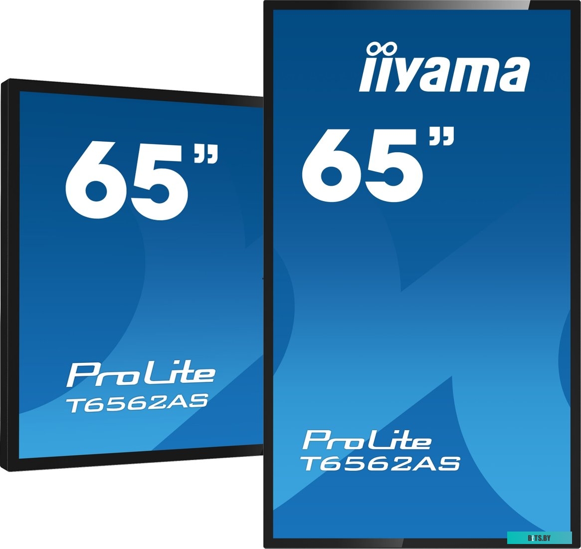 T6562AS-B1 ЖКИ монитор Iiyama ProLite