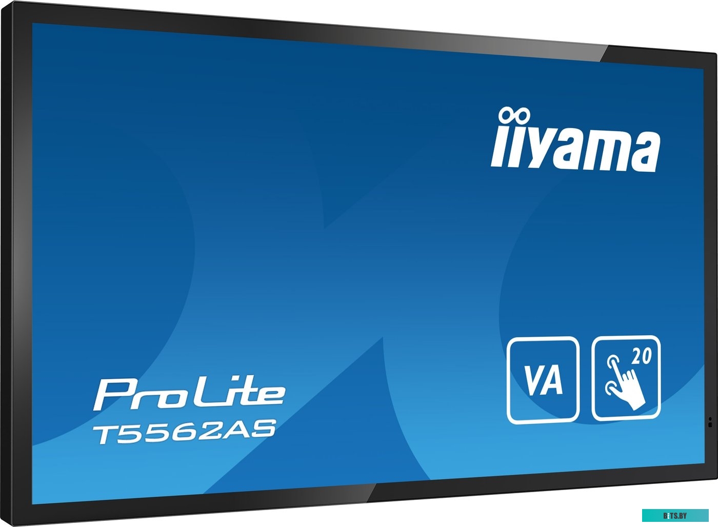 T5562AS-B1 ЖКИ монитор Iiyama ProLite