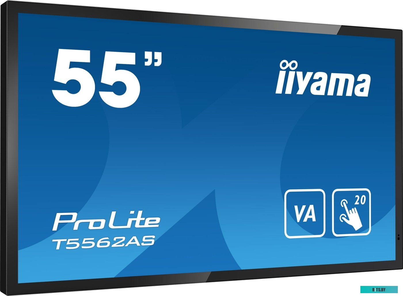 T5562AS-B1 ЖКИ монитор Iiyama ProLite