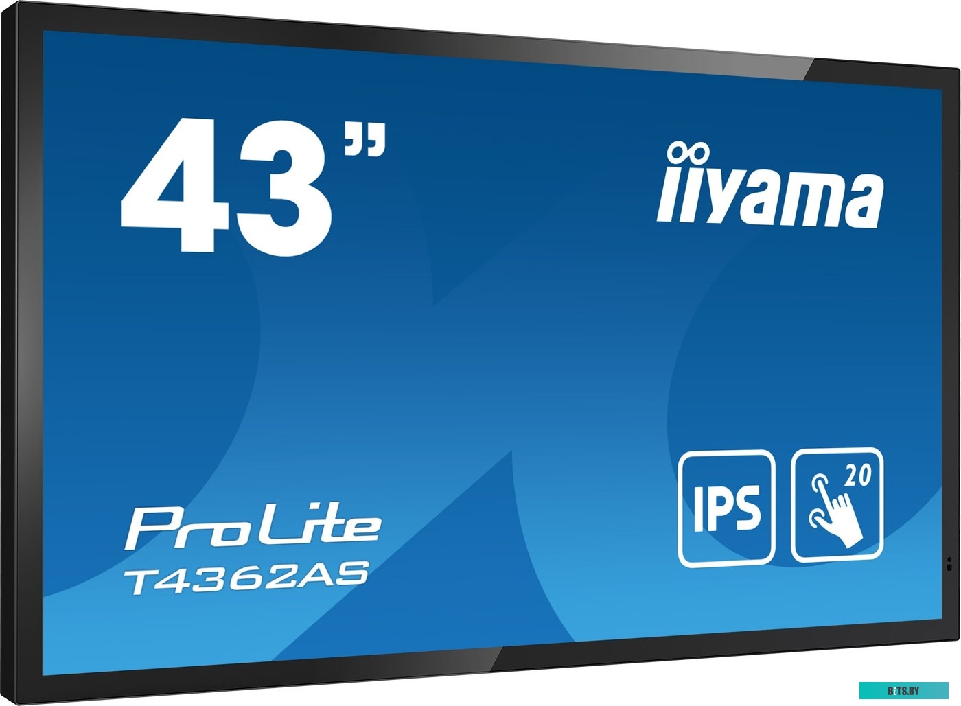 T4362AS-B1 ЖКИ монитор Iiyama ProLite