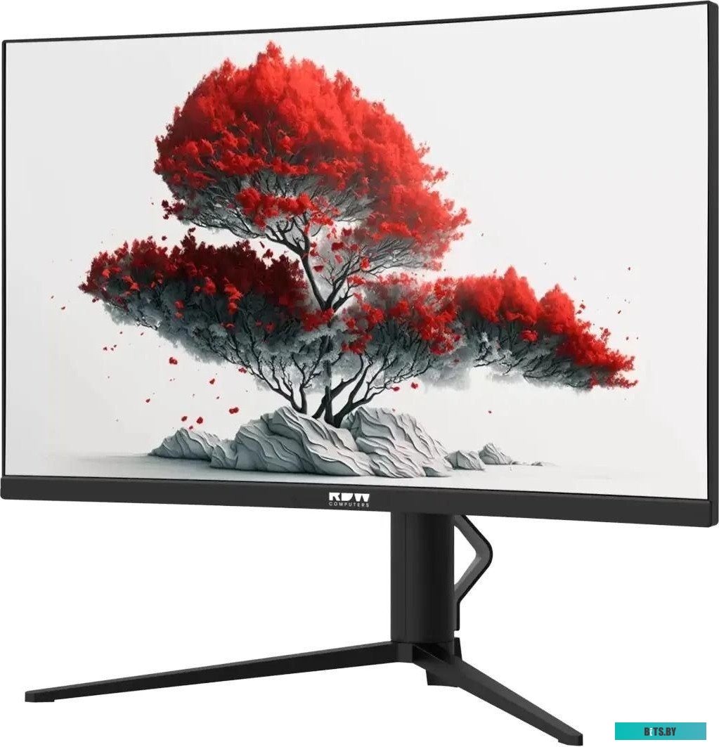 Монитор RDW Computers 27" RDW2706C (Q03В375V2A1) Q03В375V2A1