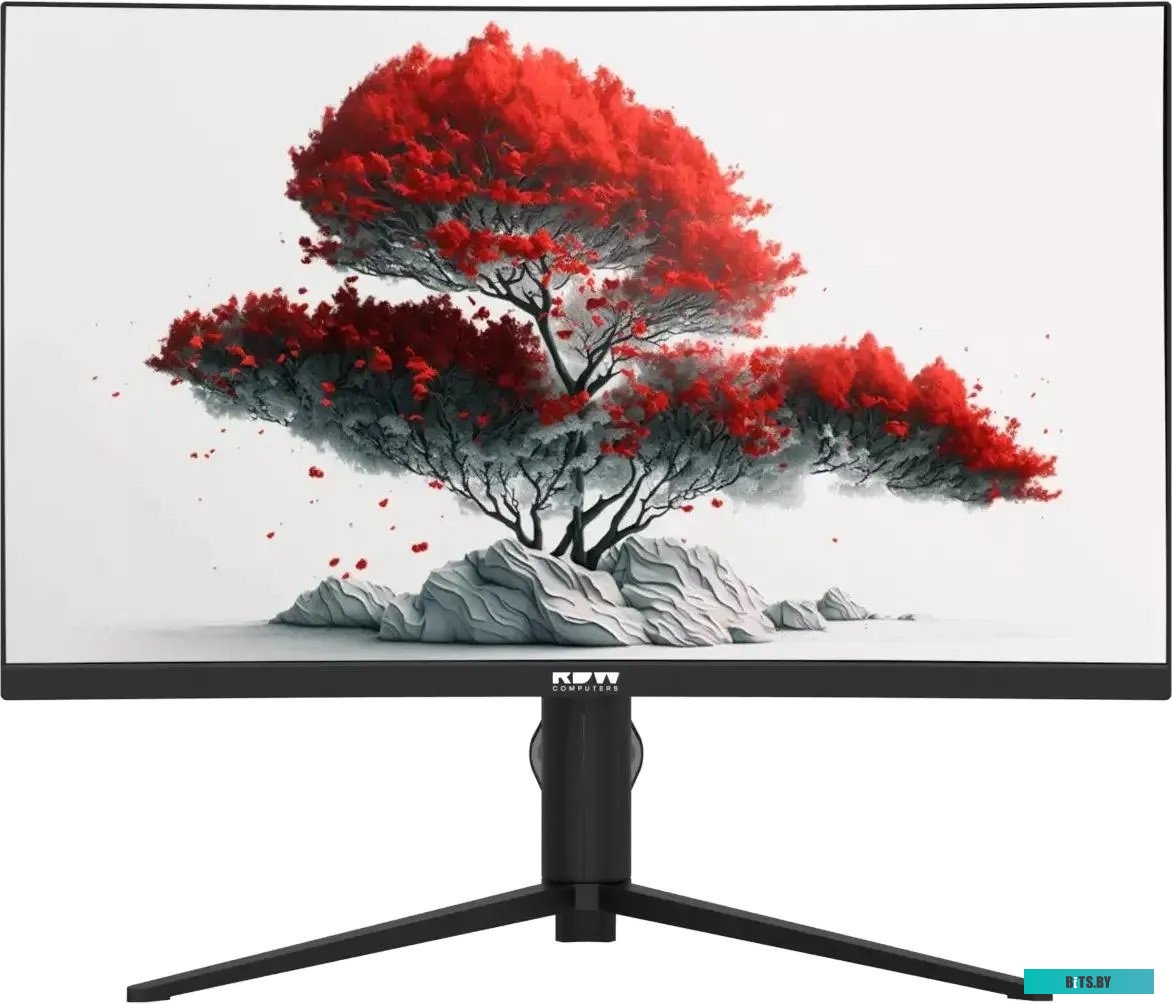 Монитор RDW Computers 27" RDW2706C (Q03В375V2A1) Q03В375V2A1