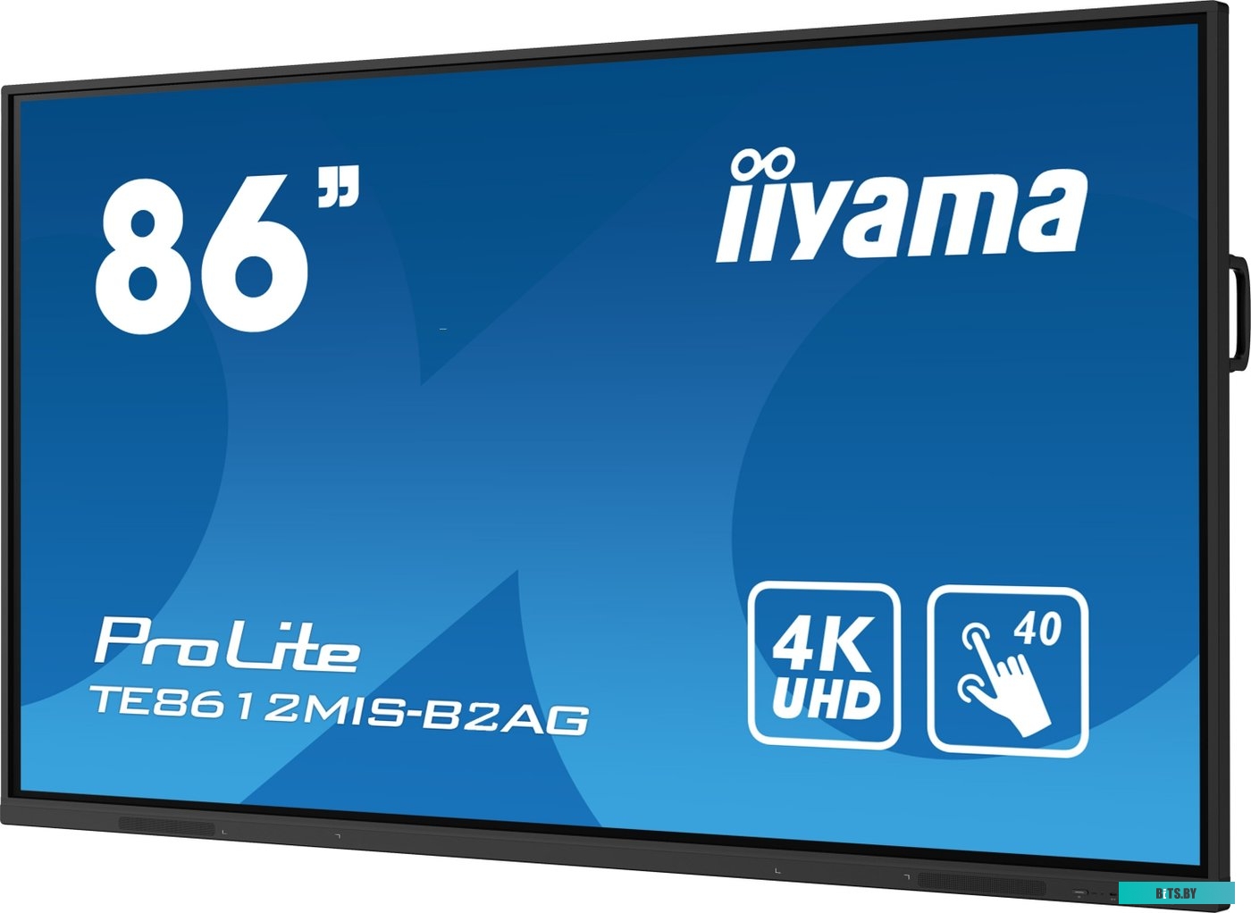 TE8612MIS-B2AG ЖКИ монитор Iiyama ProLite