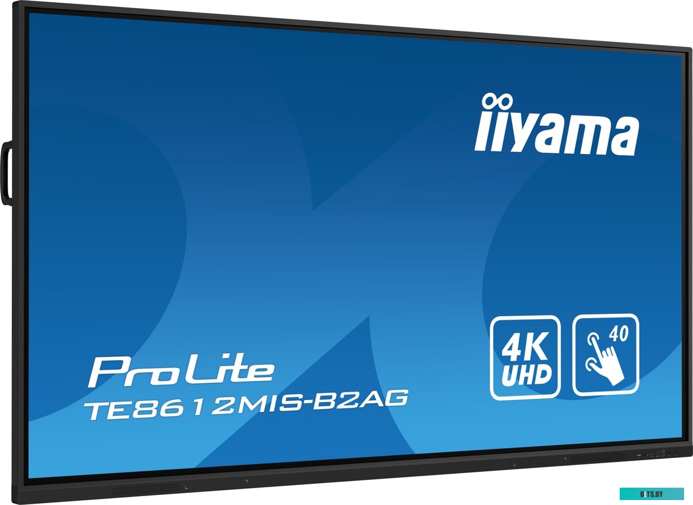 TE8612MIS-B2AG ЖКИ монитор Iiyama ProLite
