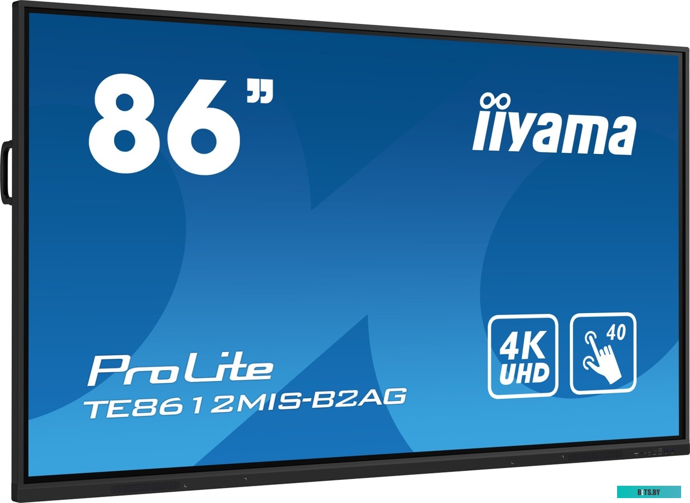 TE8612MIS-B2AG ЖКИ монитор Iiyama ProLite