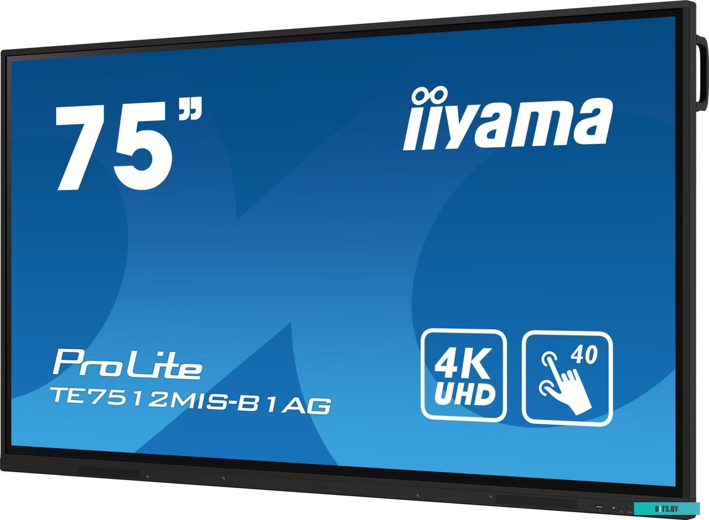 TE7512MIS-B1AG ЖКИ монитор Iiyama ProLite