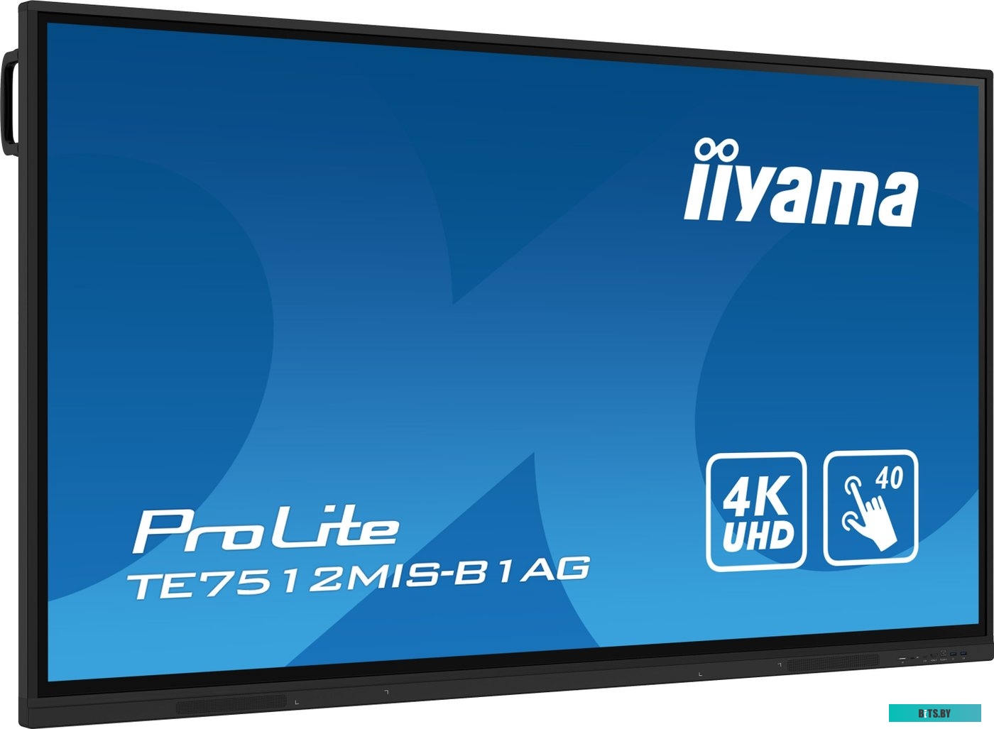 TE7512MIS-B1AG ЖКИ монитор Iiyama ProLite