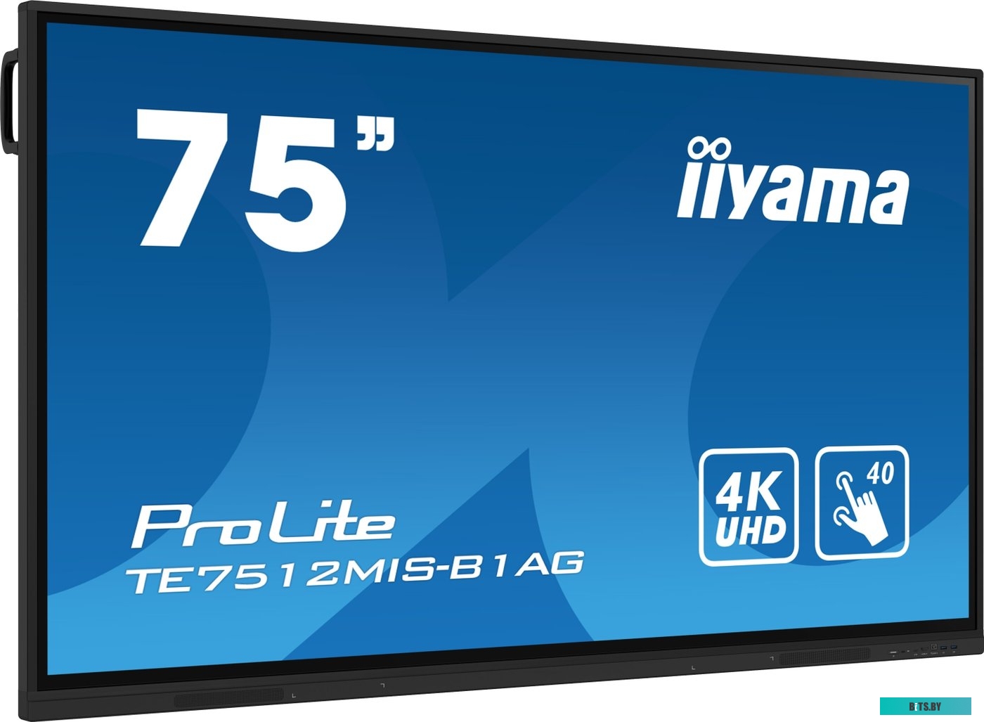 TE7512MIS-B1AG ЖКИ монитор Iiyama ProLite