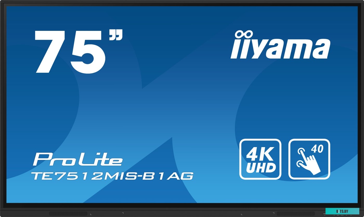 TE7512MIS-B1AG ЖКИ монитор Iiyama ProLite