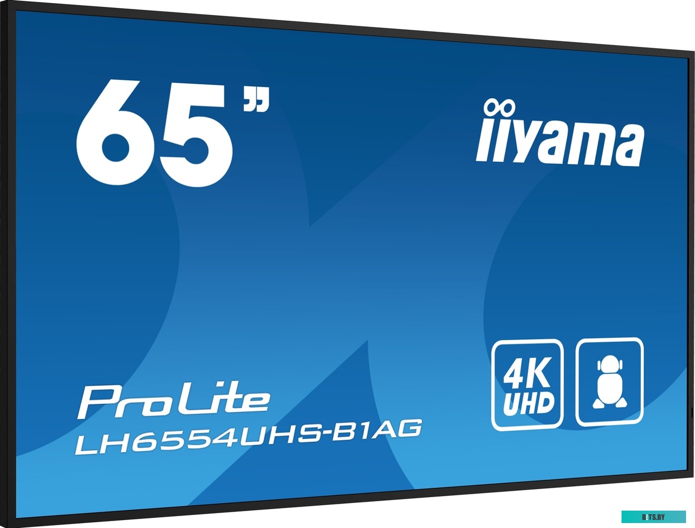 LH6554UHS-B1AG ЖКИ монитор Iiyama ProLite