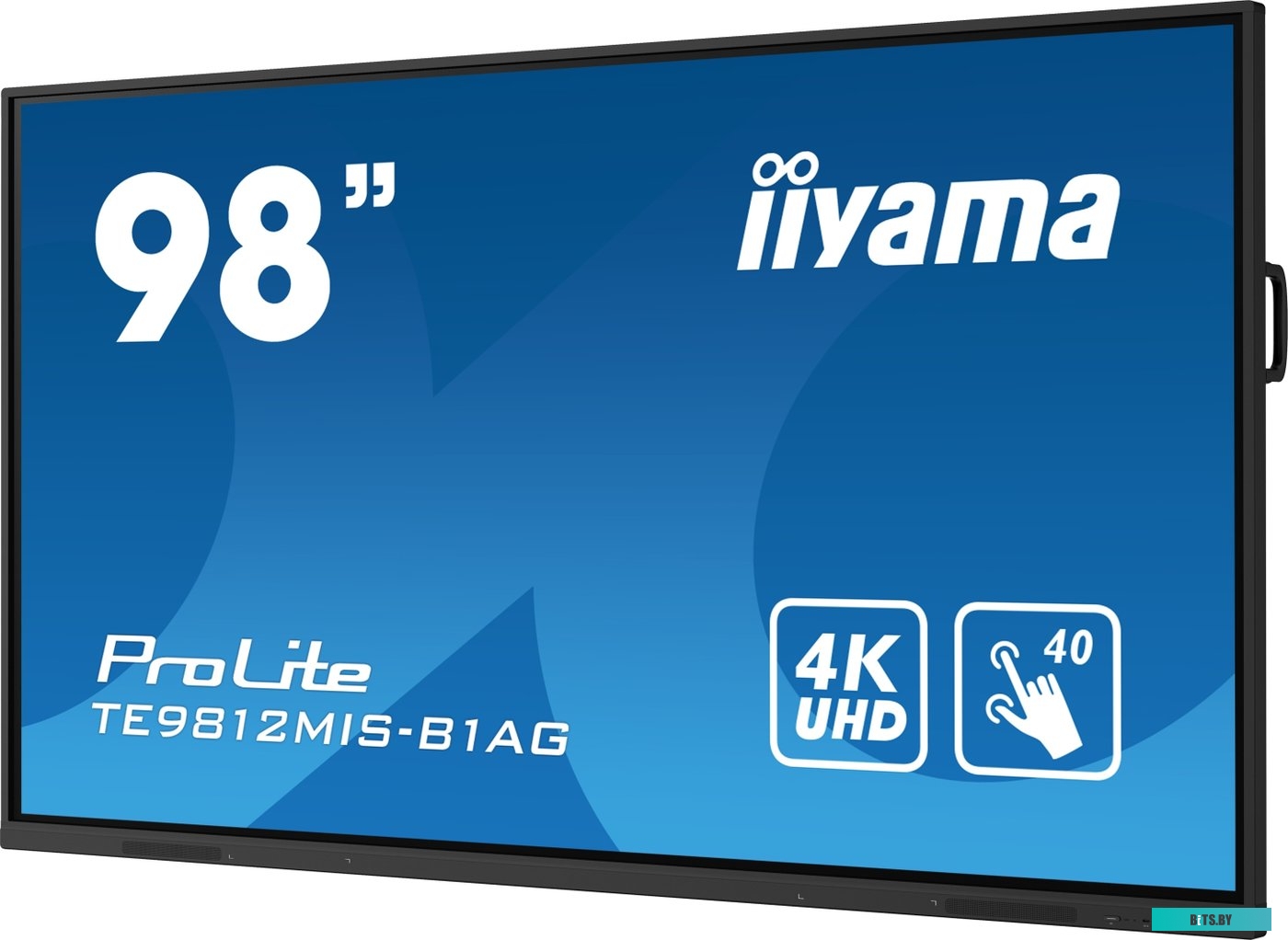 TE9812MIS-B1AG ЖКИ монитор Iiyama ProLite