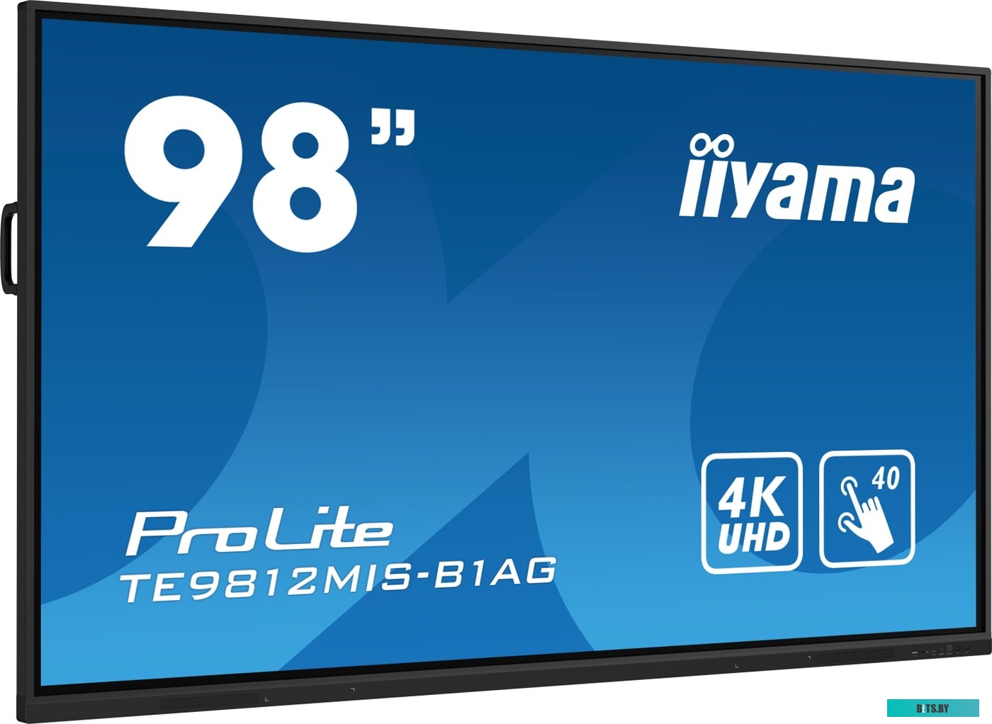 TE9812MIS-B1AG ЖКИ монитор Iiyama ProLite