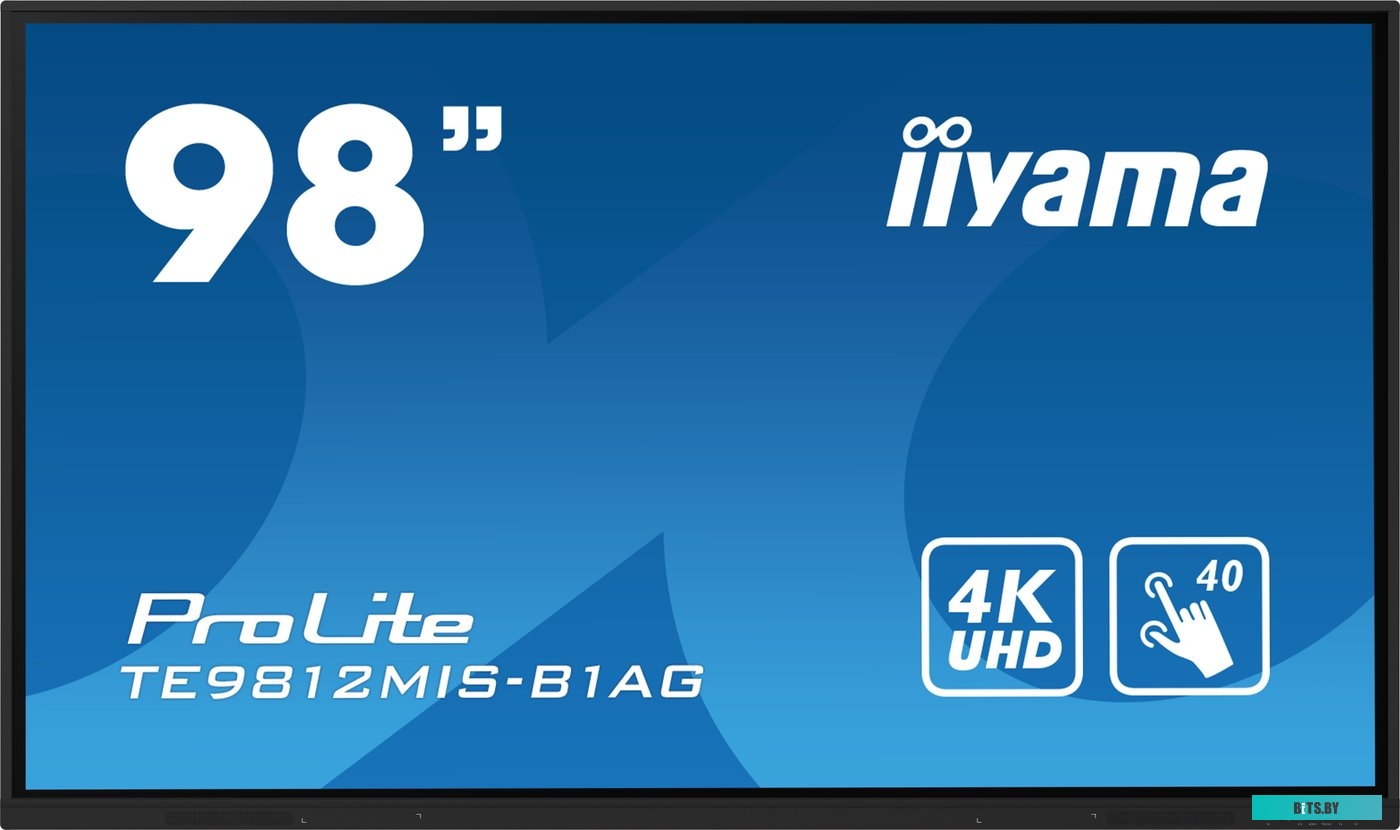 TE9812MIS-B1AG ЖКИ монитор Iiyama ProLite