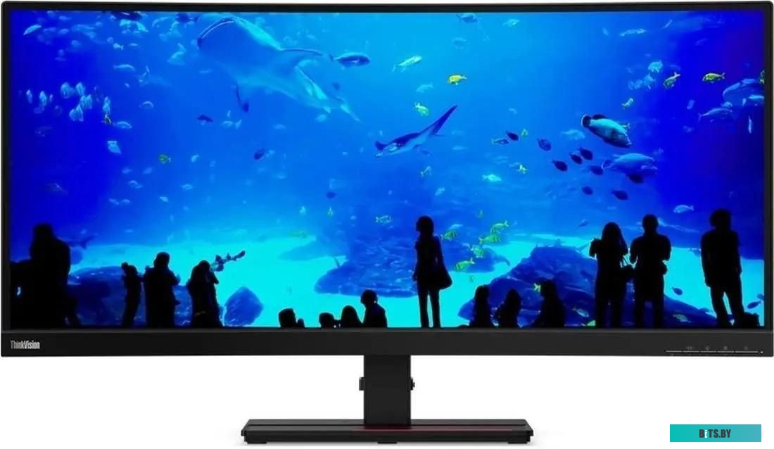 Монитор Lenovo ThinkVision P34w-20 62CCRAT3EU