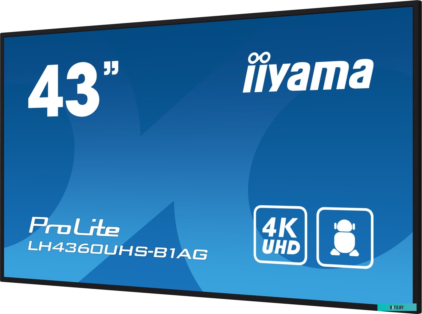 LH4360UHS-B1AG ЖКИ монитор Iiyama ProLite