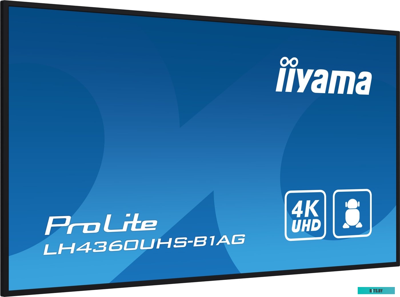 LH4360UHS-B1AG ЖКИ монитор Iiyama ProLite