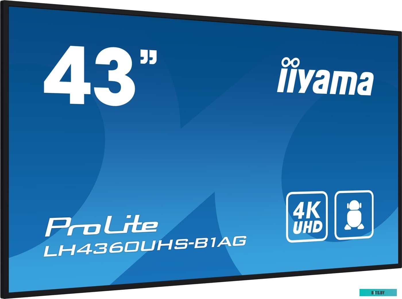 LH4360UHS-B1AG ЖКИ монитор Iiyama ProLite