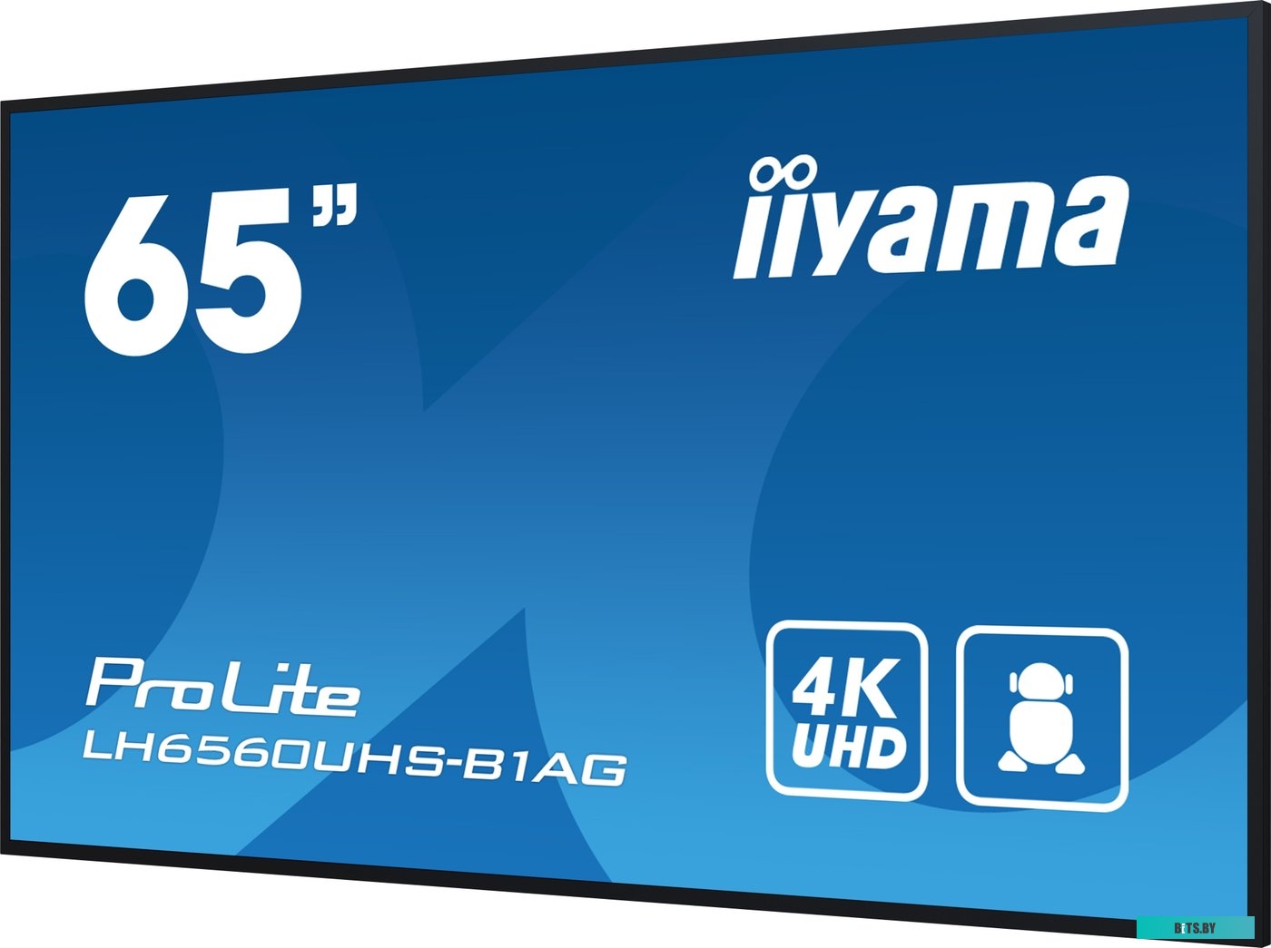 LH6560UHS-B1AG ЖКИ монитор Iiyama ProLite