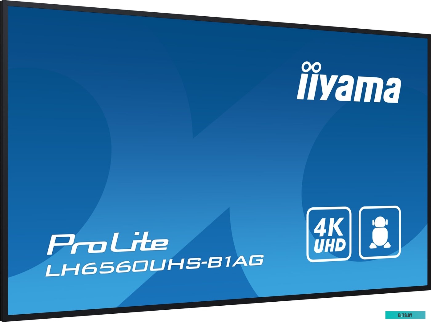 LH6560UHS-B1AG ЖКИ монитор Iiyama ProLite