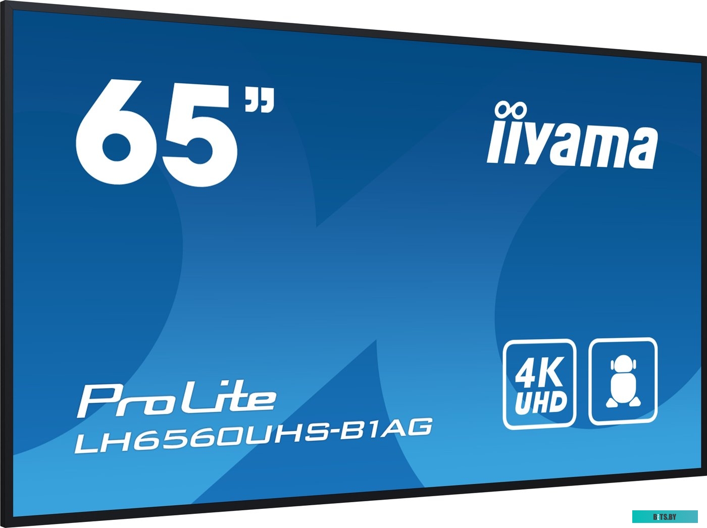 LH6560UHS-B1AG ЖКИ монитор Iiyama ProLite