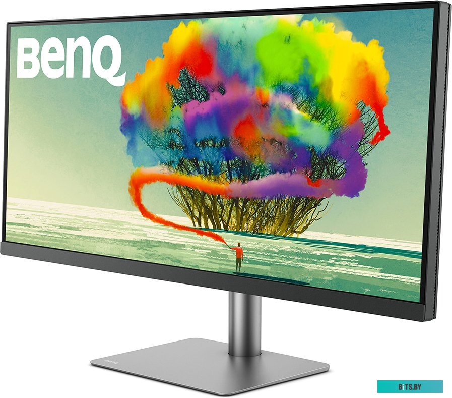 Монитор BenQ PD3420Q