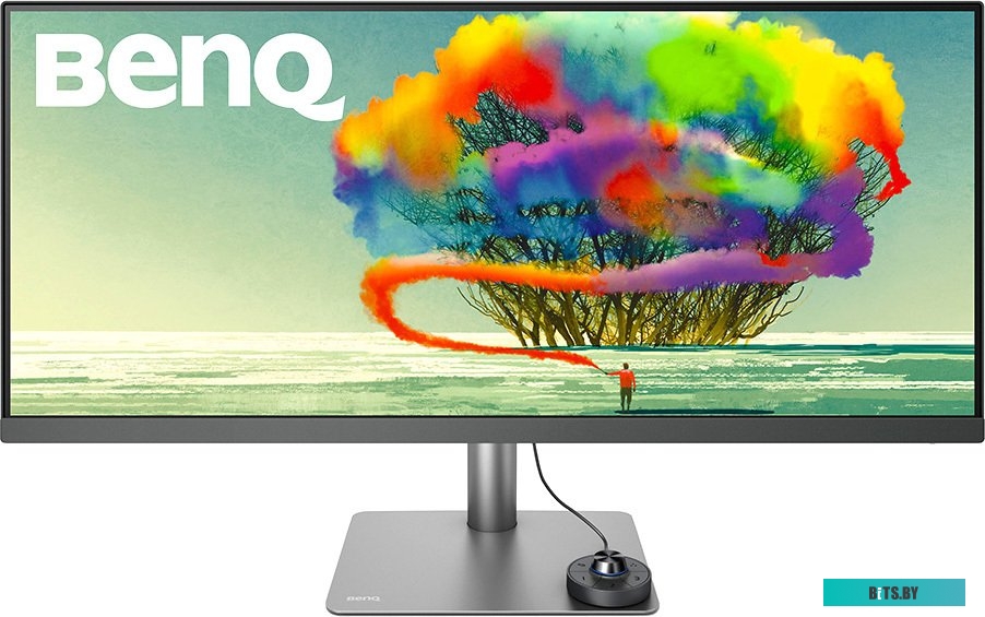 Монитор BenQ PD3420Q