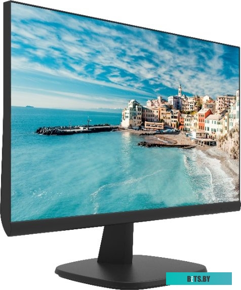 Монитор Hikvision DS-D5024FN