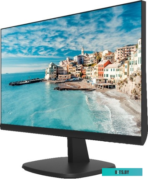 Монитор Hikvision DS-D5024FN