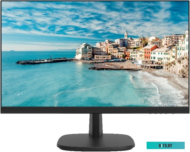 Монитор Hikvision DS-D5024FN