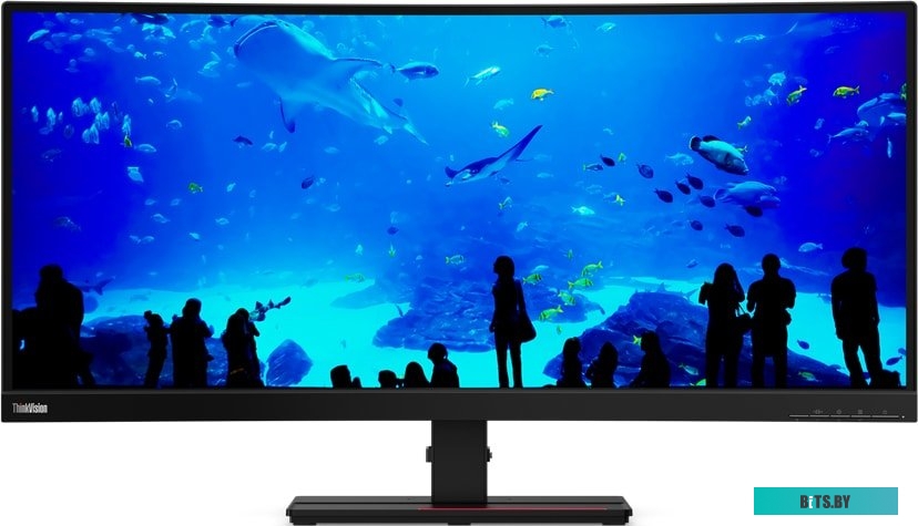 Монитор Lenovo T34w-20 61F3GAT1EU