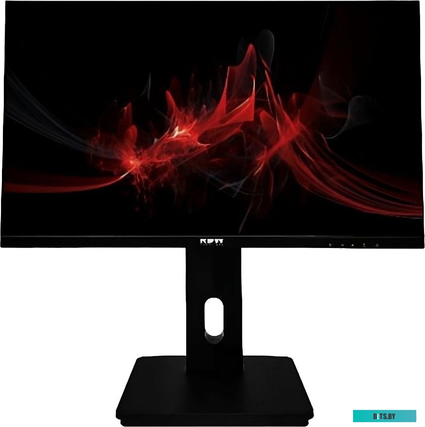 Монитор RDW Computers RDW 2423K