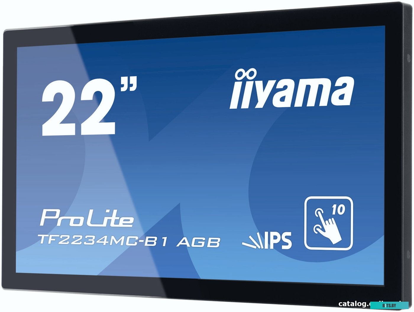 Монитор Iiyama 21.5" TF2234MC-B7AGB черный IPS LED 8ms 16:9 HDMI матовая 1000:1 350cd 178гр/178гр 1920x1080 D-Sub DisplayPort FHD USB Touch