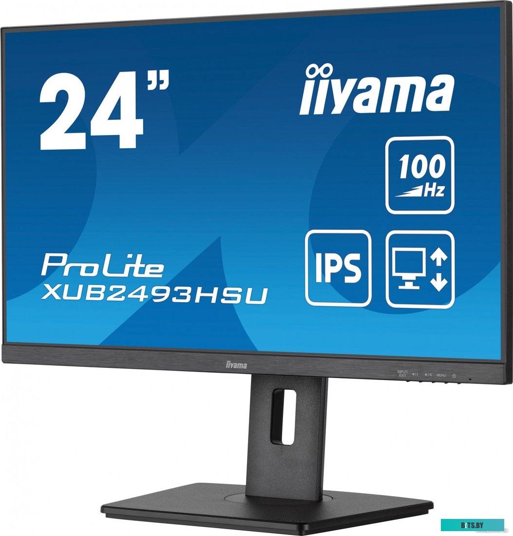 Монитор Iiyama ProLite XUB2493HSU-B6 XUB2493HSU-B6