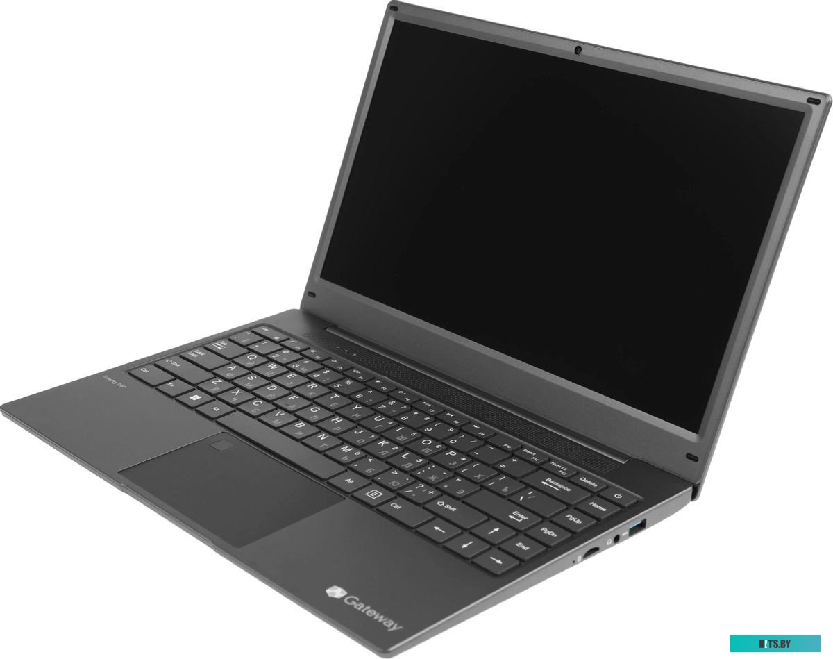 Ноутбук Gateway GWNR51416-BK