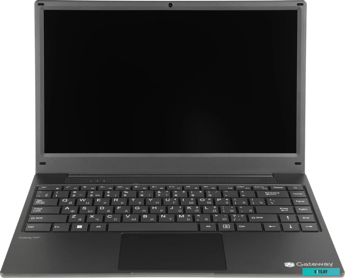 Ноутбук Gateway GWNR51416-BK