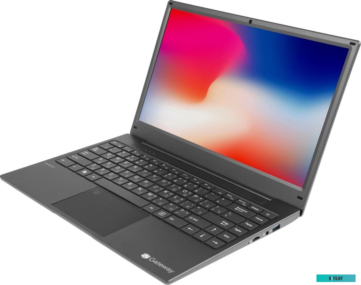 Ноутбук Gateway GWNR51416-BK