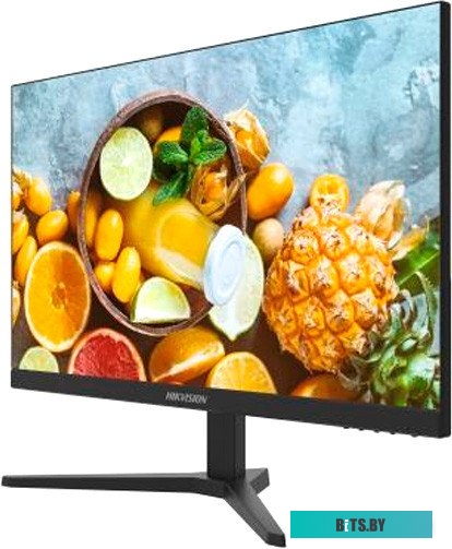 Монитор Hikvision DS-D5024FN10 DS-D5024FN10.